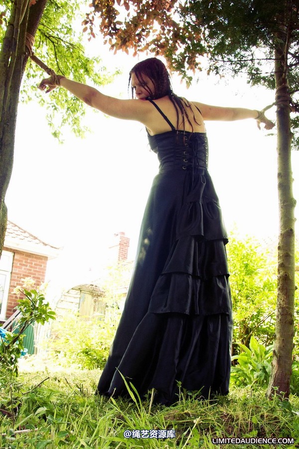 limitedaudience - 2011 beckykat between trees 2 第 34 张图片