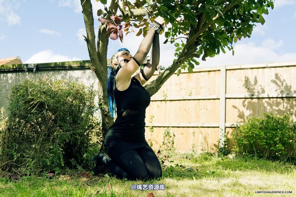 limitedaudience - 2012 raevan tied and tamed 第 10 张图片