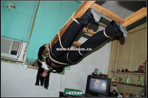 千丝万缕 - 2008-04-16日照片 第 51 张图片