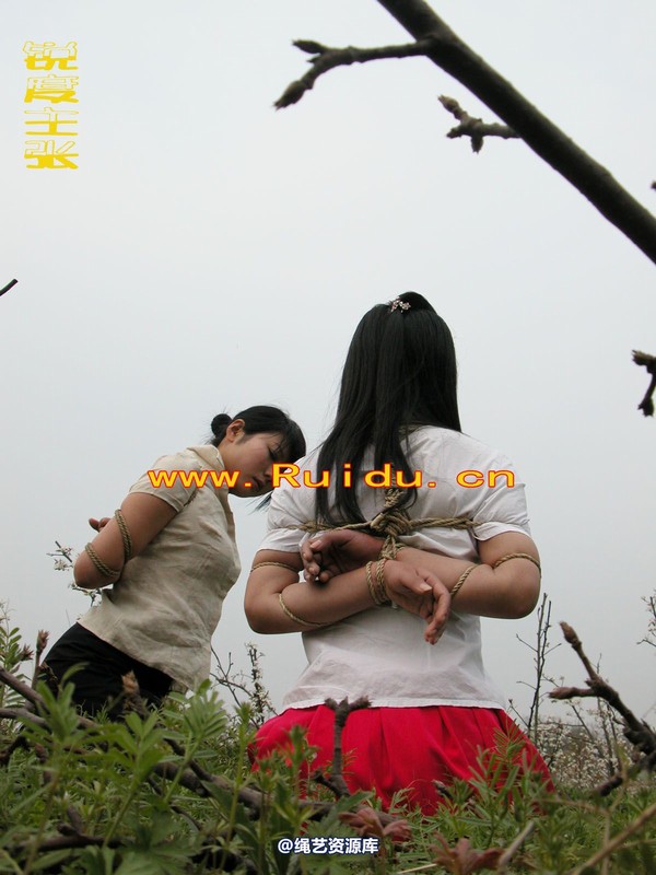 锐度主张 - 婷婷和寒冰梨花林中 第 80 张图片