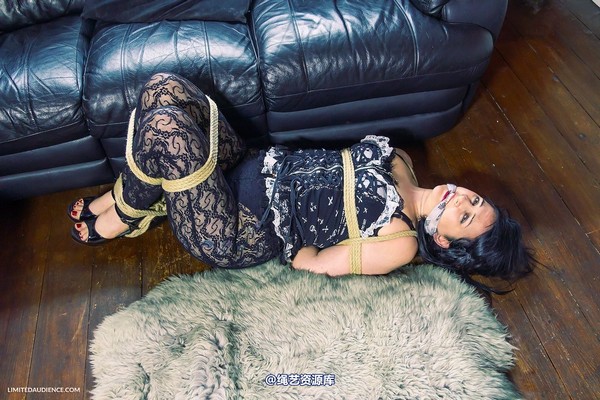 limitedaudience - 2013 dynamo hogtied 第 33 张图片