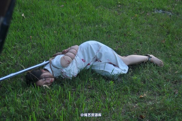 mj影视 - 凤凰烈焰 第 397 张图片