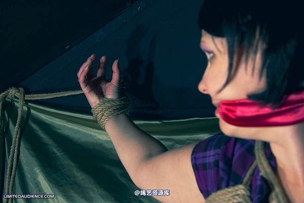 limitedaudience - 2010 deception bound tightly 2 第 18 张图片