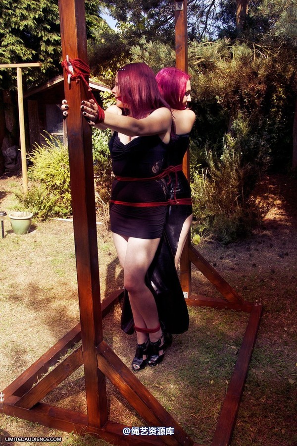 limitedaudience - 2012 elyssia violet reign two for one 3 第 2 张图片