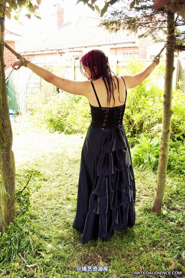 limitedaudience - 2011 beckykat between trees 2 第 35 张图片