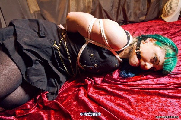 limitedaudience - 2012 raevan hogtied 第 8 张图片