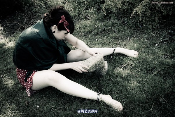 limitedaudience - 2012 dominick destruction escape and punishment 第 2 张图片