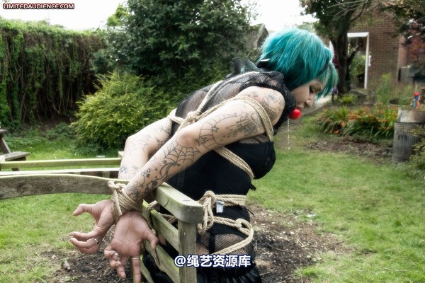 limitedaudience - 2009 b captive pixie 第 23 张图片