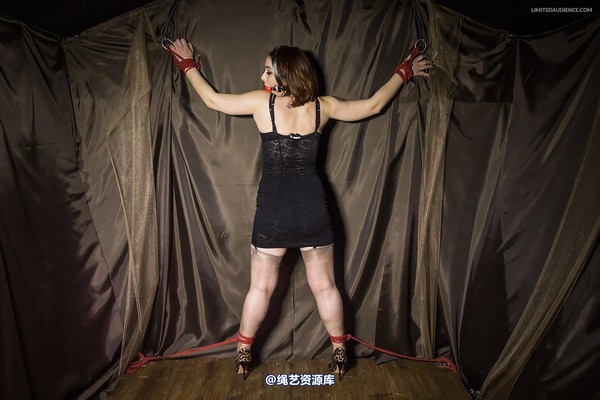 limitedaudience - 2014 ammalia up against the wall 2 第 12 张图片