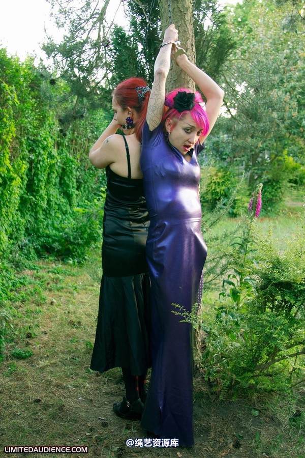 limitedaudience - 2011 beckykat loltaru chained tree seesaw 2 第 25 张图片