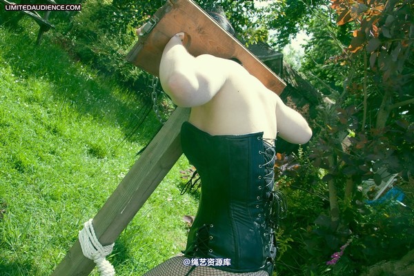 limitedaudience - 2011 rebekka raynor on public display 2 第 10 张图片