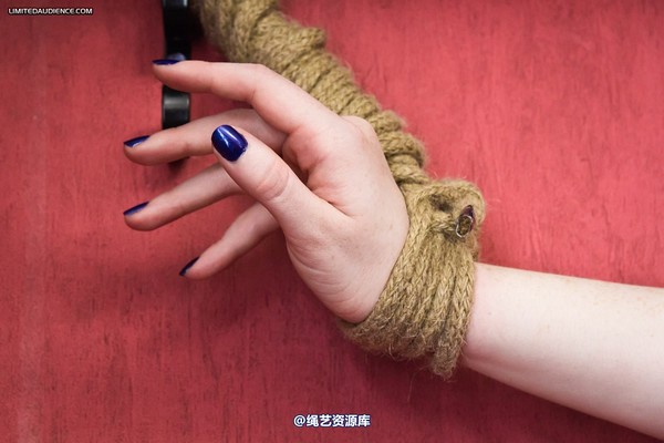 limitedaudience - 2012 syrah lee home bound 第 30 张图片