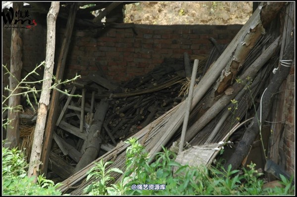 唯美之家 - 武当山之行-山脚匪事1 第 257 张图片