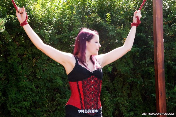limitedaudience - 2010 elyssia violet reign burglar s punishment 第 22 张图片