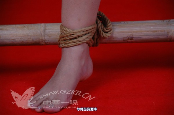 中华一晓 - 中华一晓 NO.0033 第 173 张图片