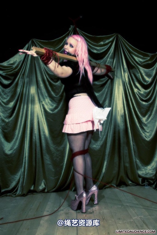 limitedaudience - 2009 assisted suicide profoundly entangled 第 14 张图片