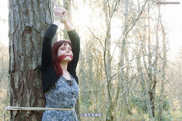 limitedaudience - 2012 scarlett far from help 第 1 张图片