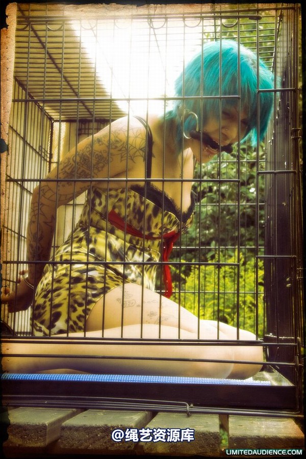 limitedaudience - 2009 b caged animal 第 37 张图片