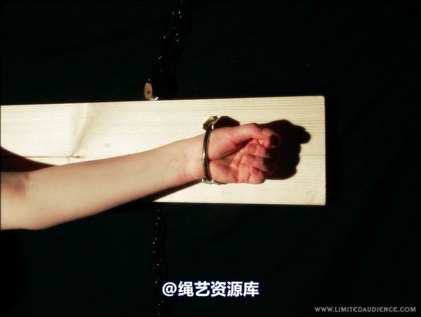 limitedaudience - 2007 erin chained animal 第 26 张图片