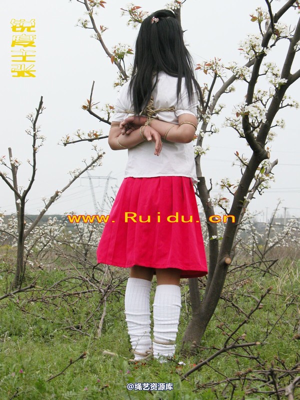 锐度主张 - 婷婷和寒冰梨花林中 第 40 张图片