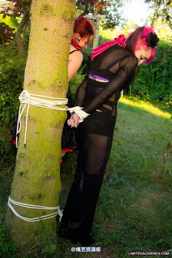 limitedaudience - 2011 beckykat loltaru moored to tree 第 11 张图片