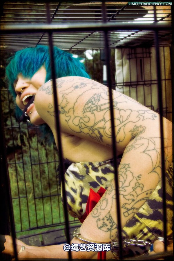limitedaudience - 2009 b caged animal 第 19 张图片