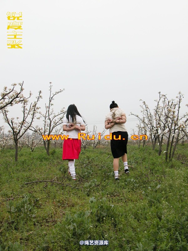 锐度主张 - 婷婷和寒冰梨花林中 第 7 张图片