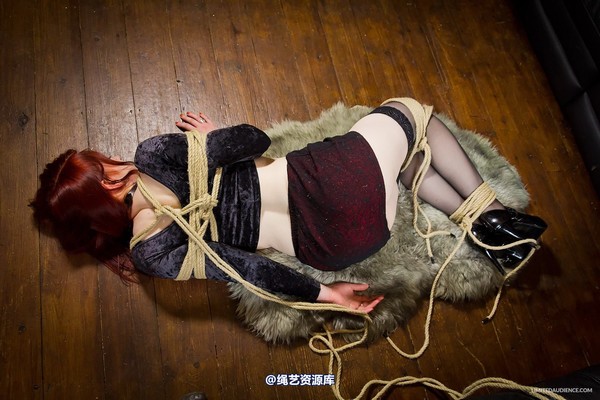 limitedaudience - 2013 syrah lee hogtied 2 第 11 张图片