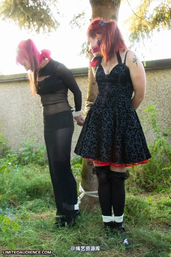 limitedaudience - 2011 beckykat loltaru moored to tree 2 第 28 张图片