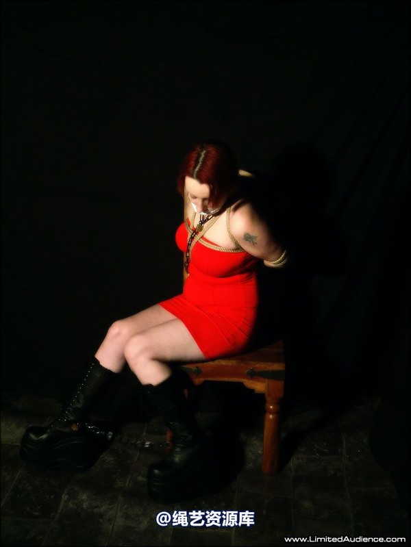 limitedaudience - 2007 erin chained to chair 第 20 张图片