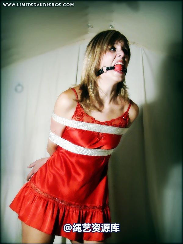 limitedaudience - 2007 ariel gradual restraints 第 32 张图片