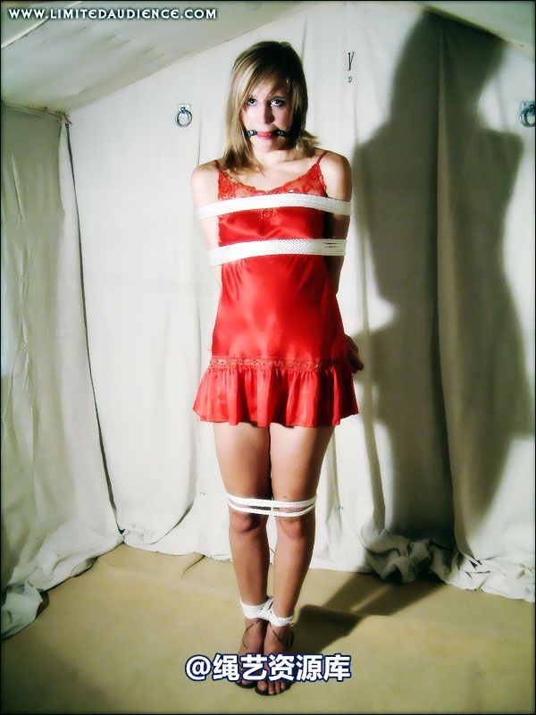 limitedaudience - 2007 ariel gradual restraints 第 40 张图片
