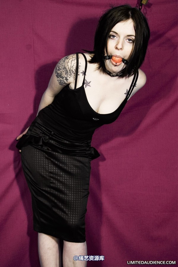 limitedaudience - 2010 jenvy display model 第 2 张图片