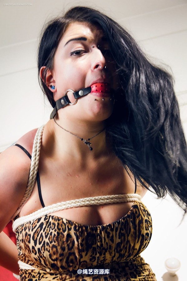limitedaudience - 2014 stacey von strappado 2 第 28 张图片