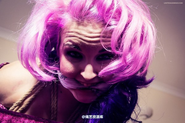 limitedaudience - 2013 assisted suicide hogtie centre piece 第 4 张图片