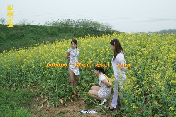 锐度主张 - 4月8日网友聚会室外篇1 第 47 张图片