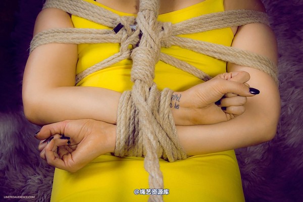 limitedaudience - 2013 elle hogtie tamed 第 27 张图片