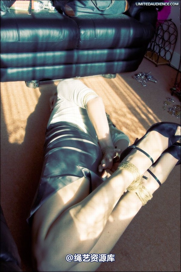 limitedaudience - 2008 ariel hogtied secretary 第 13 张图片