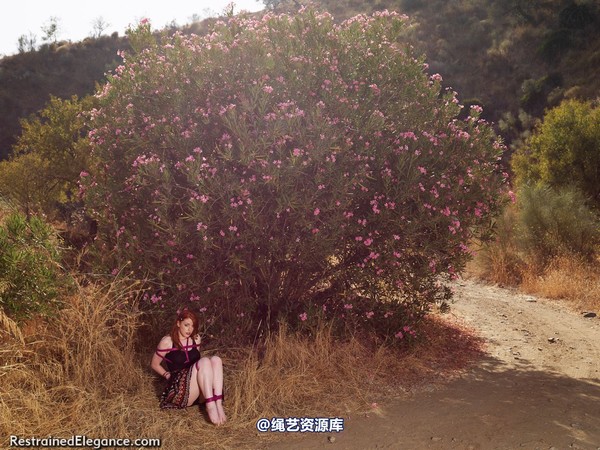 restrainedelegance - Andalucian Flower Girl 第 27 张图片