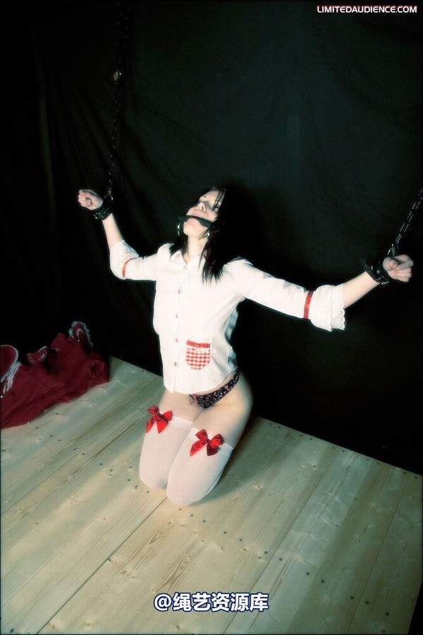 limitedaudience - 2008 blossom blois disciples of hoissy 2 第 15 张图片