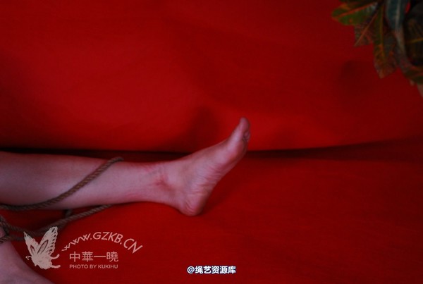 中华一晓 - 中华一晓 NO.0302 第 95 张图片