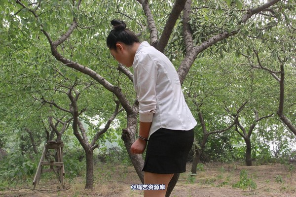胜景山庄 - 263-杏林游玩 第 49 张图片