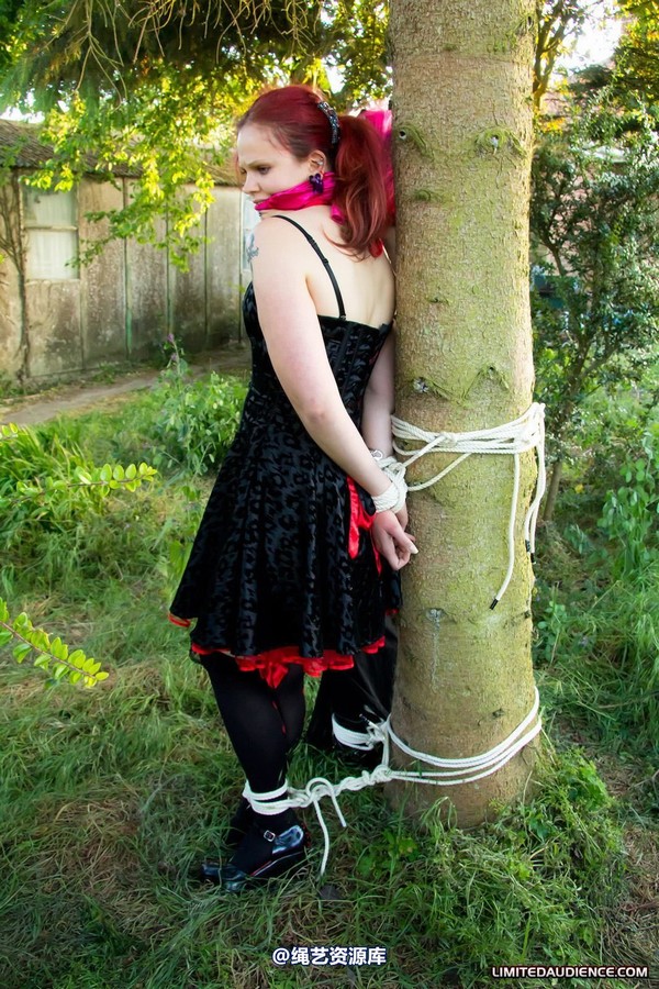 limitedaudience - 2011 beckykat loltaru moored to tree 第 4 张图片