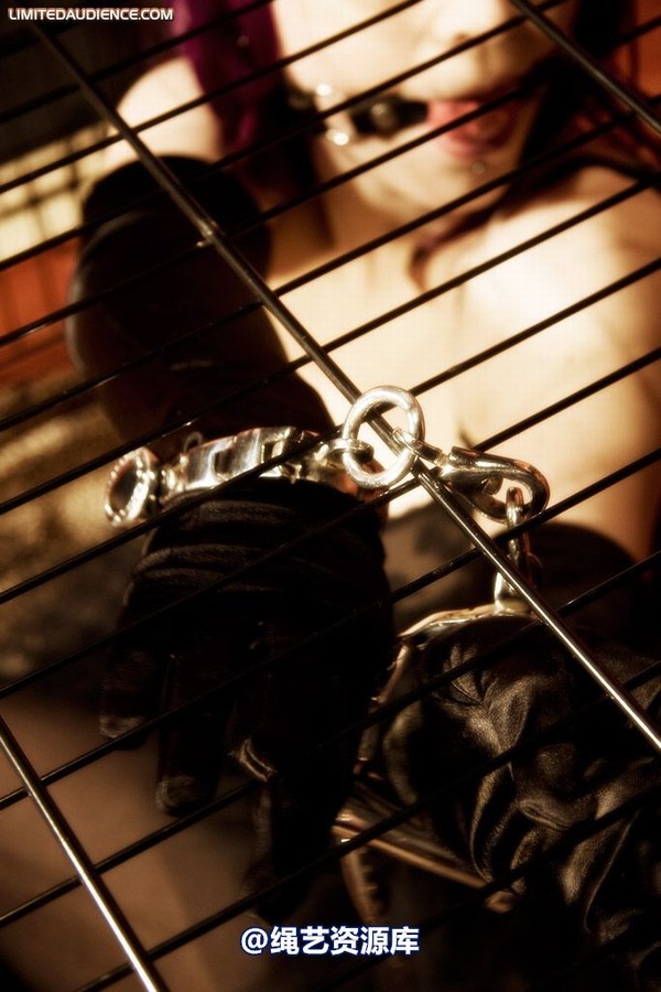 limitedaudience - 2009 catya raevan alptraum part iii 第 4 张图片