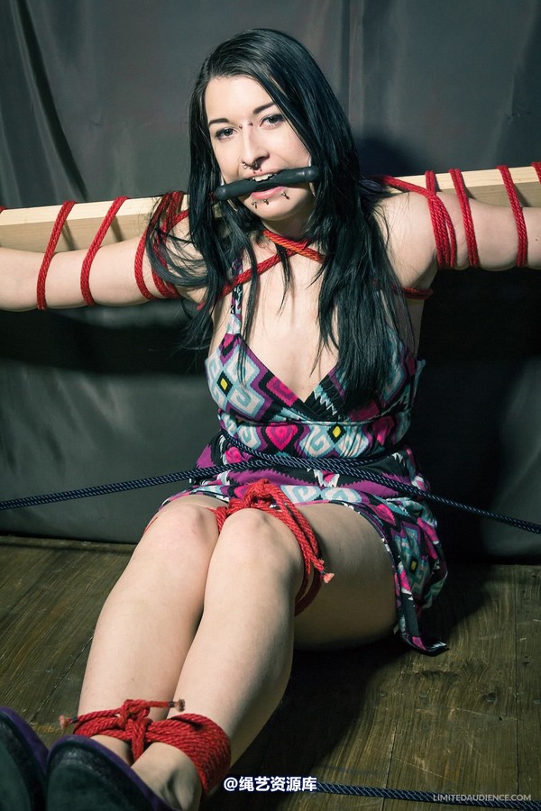 limitedaudience - 2013 stacey von time challenge 2 第 7 张图片