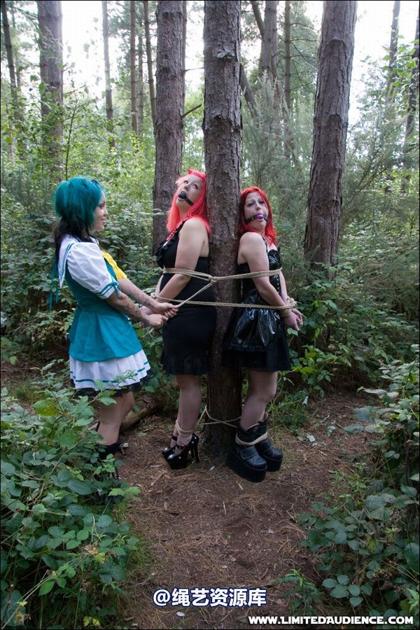 limitedaudience - 2007 asphyxia b nattsuko lost in the woods 第 45 张图片