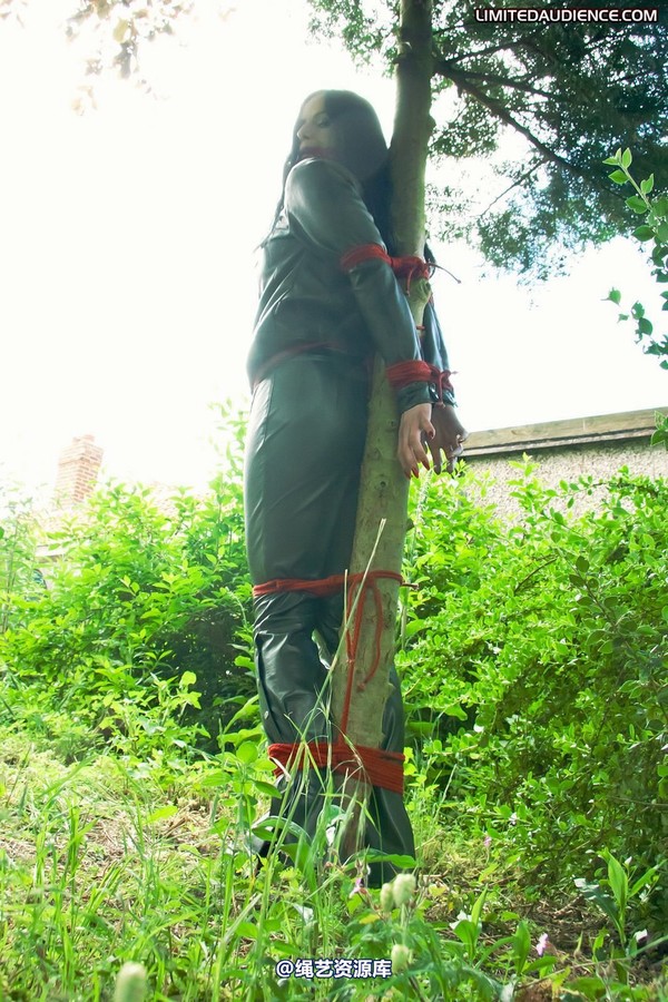 limitedaudience - 2011 rebekka raynor one with the tree 2 第 23 张图片