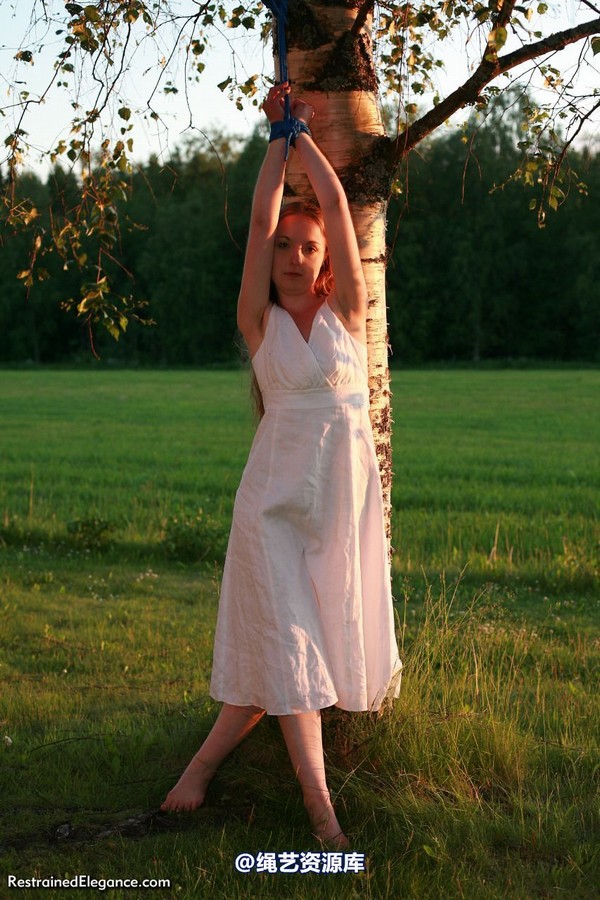 restrainedelegance - Sunset Semi-Suspension 第 2 张图片
