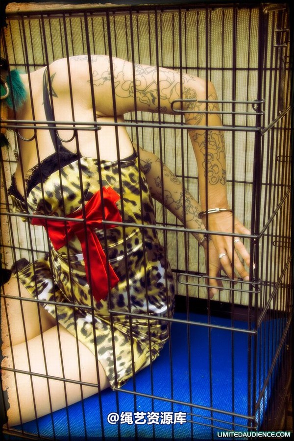 limitedaudience - 2009 b caged animal 第 13 张图片