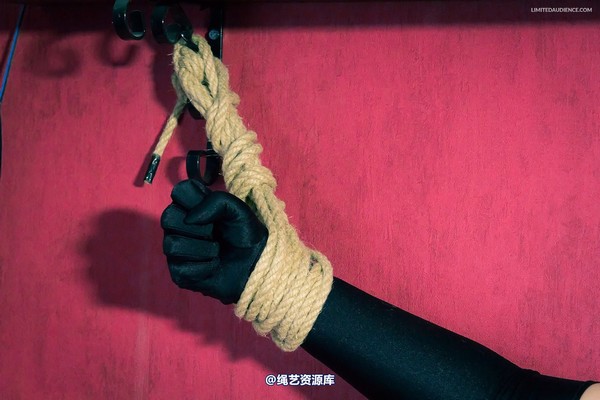 limitedaudience - 2013 dynamo incredulous captive 第 35 张图片